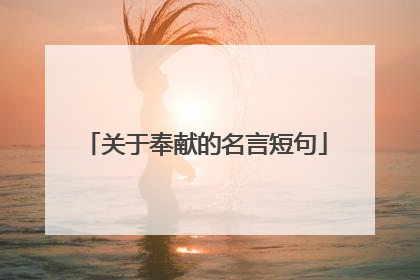 关于奉献的名言短句