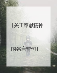 关于奉献精神的名言警句