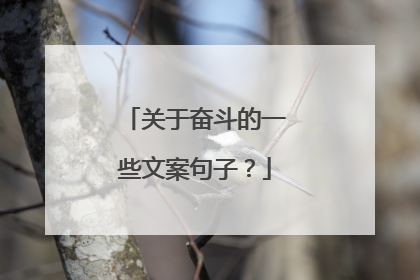 关于奋斗的一些文案句子?