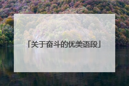 关于奋斗的优美语段