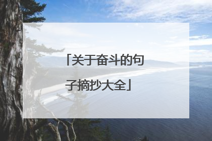 关于奋斗的句子摘抄大全