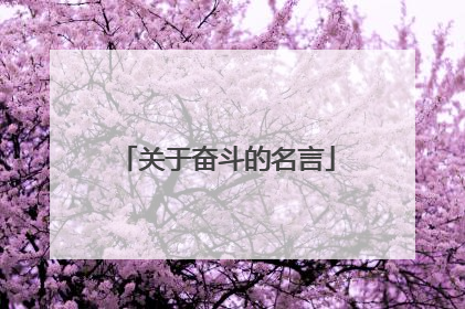 关于奋斗的名言