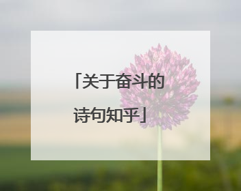 关于奋斗的诗句知乎