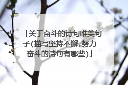 关于奋斗的诗句唯美句子(描写坚持不懈,努力奋斗的诗句有哪些)