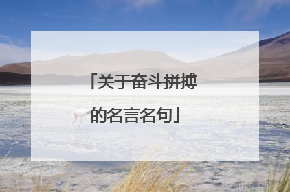 关于奋斗拼搏的名言名句