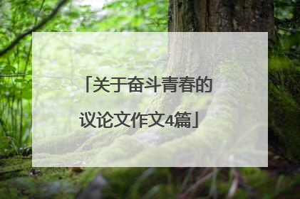 关于奋斗青春的议论文作文4篇