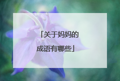 关于妈妈的成语有哪些