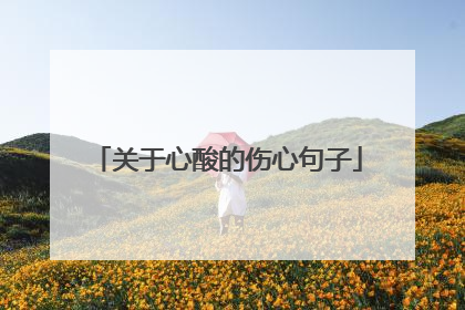 关于心酸的伤心句子