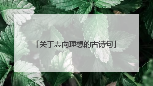 关于志向理想的古诗句