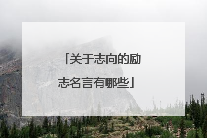 关于志向的励志名言有哪些