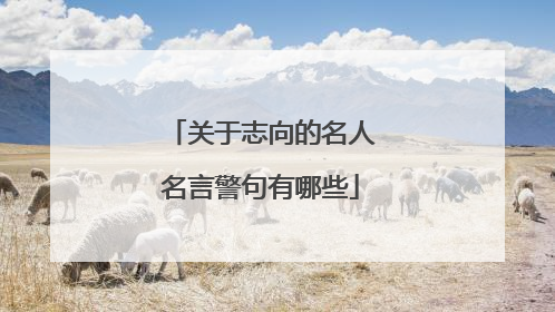 关于志向的名人名言警句有哪些
