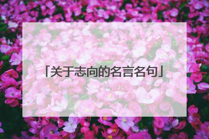 关于志向的名言名句