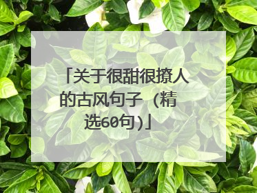 关于很甜很撩人的古风句子 (精选60句)