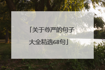 关于尊严的句子大全精选68句