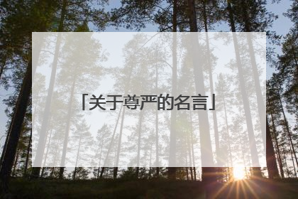 关于尊严的名言