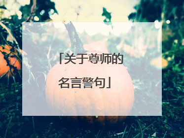 关于尊师的名言警句