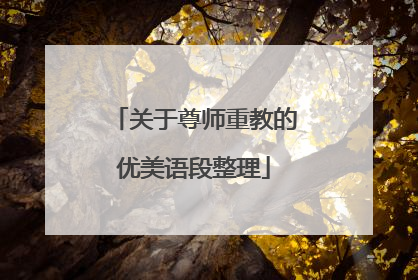 关于尊师重教的优美语段整理