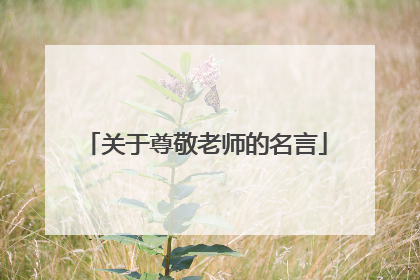 关于尊敬老师的名言