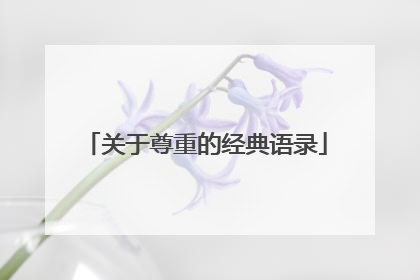 关于尊重的经典语录