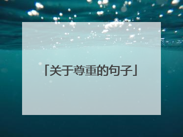 关于尊重的句子