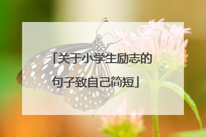 关于小学生励志的句子致自己简短