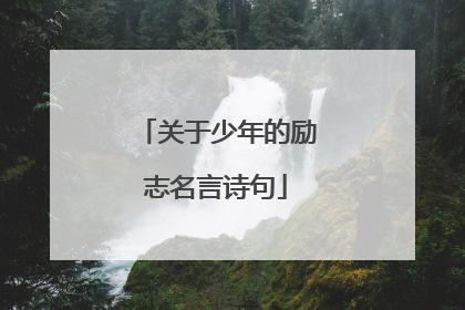 关于少年的励志名言诗句