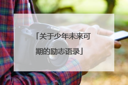 关于少年未来可期的励志语录