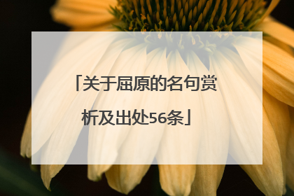 关于屈原的名句赏析及出处56条