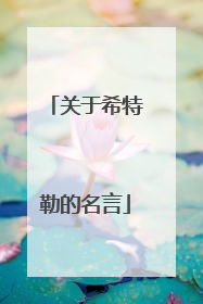 关于希特勒的名言
