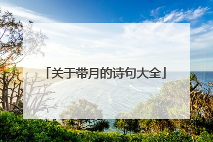 关于带月的诗句大全