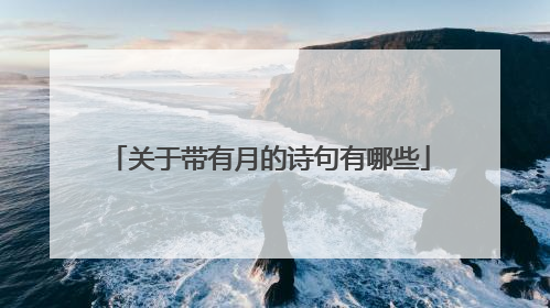 关于带有月的诗句有哪些