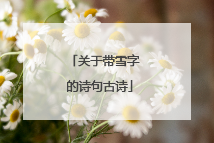 关于带雪字的诗句古诗