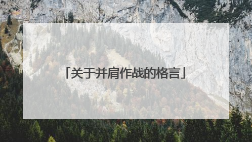 关于并肩作战的格言