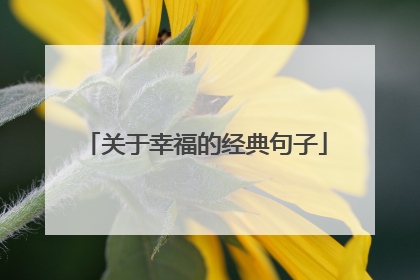 关于幸福的经典句子
