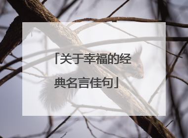 关于幸福的经典名言佳句