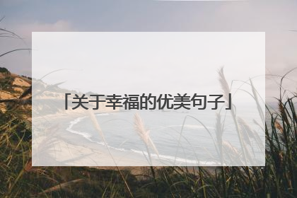 关于幸福的优美句子