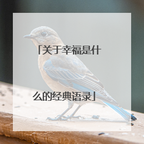 关于幸福是什么的经典语录