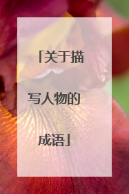 关于描写人物的成语