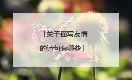 关于描写友情的诗句有哪些