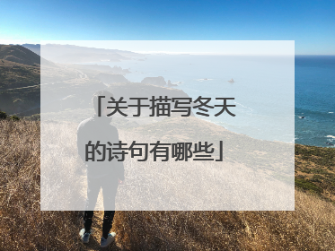 关于描写冬天的诗句有哪些
