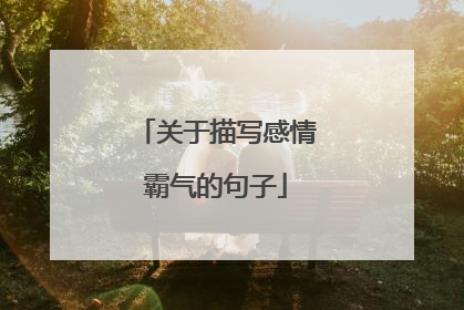 关于描写感情霸气的句子