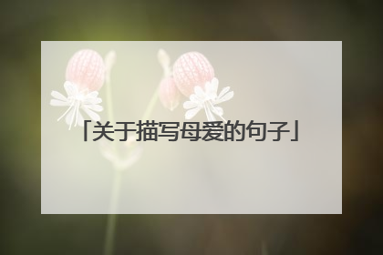 关于描写母爱的句子