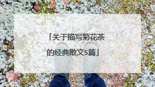 关于描写菊花茶的经典散文5篇
