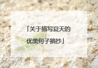 关于描写夏天的优美句子摘抄