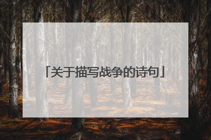 关于描写战争的诗句