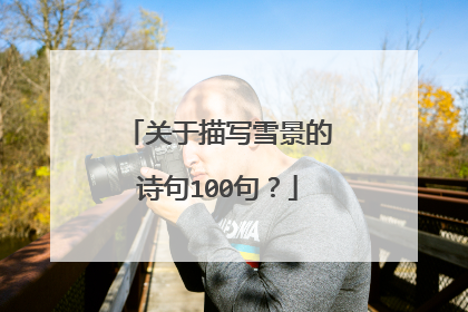 关于描写雪景的诗句100句?