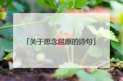 关于思念屈原的诗句