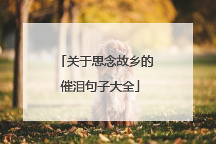 关于思念故乡的催泪句子大全