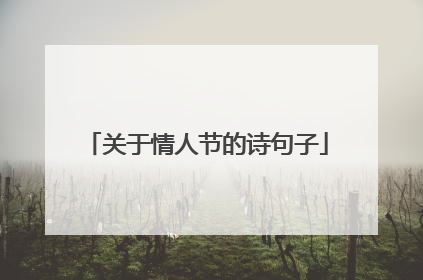 关于情人节的诗句子