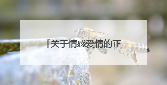 关于情感爱情的正能量励志个性签名